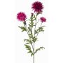 Dekozweig Kornblume BROLIX, fuchsia, 100cm, Ø6-12cm