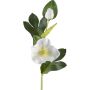 Künstliche Blume Christrose DENDY, weiß, 35cm