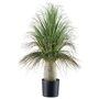 Deko Palme Grasbaum COOSA, 60cm