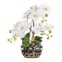 Deko Blume Phalaenopsis Orchidee BRULFEN, Dekovase silber, weiß, 30cm