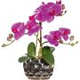 Deko Blume Phalaenopsis Orchidee BRULFEN, Dekovase silber, lila, 30cm