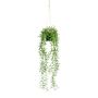 Kunst Rhipsalis Blumenampel CANDO, grün, 70cm