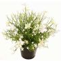 Dekoblume Fleißiges Lieschen GISINDA im Dekotopf, weiß-grün, 25cm