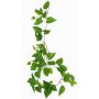 Dekopflanze Efeututen Girlande SHELLEY auf Steckstab, Eco Collection, grün, 55cm