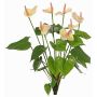 Anthurie künstlich NAKITA auf Steckstab, rosa-creme, 50cm