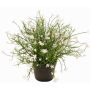 Dekoblume Fleißiges Lieschen GISINDA im Dekotopf, weiß, 25cm