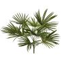 Kunstpalme Washingtonia SAIMA auf Steckstab, crossdoor, 50cm