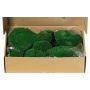 Echtes Plattenmoos SEETHA, grün, 800g, 0,15m2