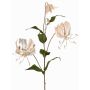 Samt Gloriosa Zweig DINFAS, zartrosa-gold, 80cm