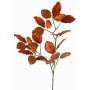 Samt Buche Zweig GALFHY, kupfer, 70cm