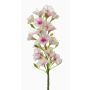 Künstlicher Phlox ALSA, weiß-rosa, 35cm, Ø6cm