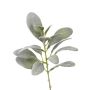 Künstlicher Zweig Wollziest FERRIS, grau-grün, 40cm