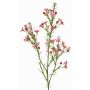 Dekozweig Wachsblume FRINDALS, dunkelrosa, 65cm, Ø1,5-2cm