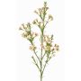 Dekozweig Wachsblume FRINDALS, hellrosa-weiß, 65cm, Ø1,5-2cm