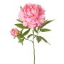 Pfingstrose künstlich WARDUAN, Eco Collection, rosa, 65cm, Ø15cm