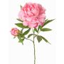 Pfingstrose künstlich WARDUAN, Eco Collection, rosa, 65cm, Ø15cm
