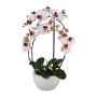 Textil Phalaenopsis Orchidee INAKES, Keramiktopf, Wurzeln, rosa-weiß, 50cm