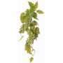 Kunstpflanze Begonia palmata OANFIR, Steckstab, hängend, grün, 90cm