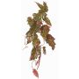 Kunstpflanze Begonia palmata OANFIR, Steckstab, hängend, rosa-grün, 90cm