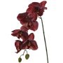 Künstliche Phalaenopsis Orchidee LARDUEN, burgunderrot, 75cm, Ø10cm