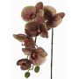 Künstliche Phalaenopsis Orchidee LARDUEN, violett-grün, 75cm, Ø10cm