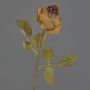 Kunstblume Rose GROLK, Trockenoptik, braun, 45cm, Ø6cm