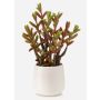 Künstliche Sukkulente Sedum reflexum NORSHO im Dekotopf, grün-rot, 27cm