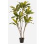 Kunstpflanze Cordyline MEIKE, Kunststämme, Dekotopf, grün, 160cm