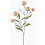 Deko Zweig Strohblume SNAVIK, rosa, 70cm