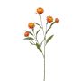 Deko Zweig Strohblume SNAVIK, orange, 70cm