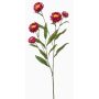 Deko Zweig Strohblume SNAVIK, pink, 70cm