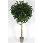 Kunst Longifolia YANIRA, Echtstamm, grün, 300cm - Made in Italy