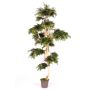 Dekobaum Japanischer Ahorn AFANAS, Naturstamm, grün-rot, 250cm - Made in Italy