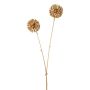 Deko Zweig Allium GRALDE, gold, 55cm