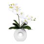 Kunst Phalaenopsis Orchidee DRELMOR, Keramikvase, Wurzeln, weiß, 35cm
