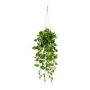 Kunst Philodendron Scandens Blumenampel BLURA, Dekotopf, 75cm