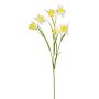 Deko Zweig Narzisse NOVIM, gelb-weiß, 60cm