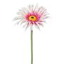 Dekoblume Gerbera FELISY, rosa-weiß, 65cm