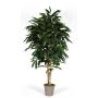 Künstlicher Longifolia MARIANKA, Natürliche Stämme, grün, 275cm - Made in Italy