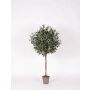 Künstlicher Olivenbaum MILINO, Naturstamm, mit Früchten, 125cm - Made in Italy