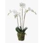Künstliche Phalaenopsis Orchidee PABLA, Moosball, weiß, 90cm