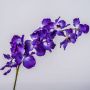 Kunst Vanda Orchideen Zweig JADA, lila, 100cm, Ø11-13cm