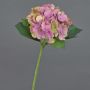 Hortensie unecht GABRIELLA, rosa-grün, 50cm, Ø17cm