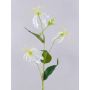 Künstliche Blume Gloriosa MAFIRNA, weiß-grün, 80cm