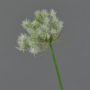 Dekoblume Pusteblume BAOJI, creme, 70cm, Ø11cm