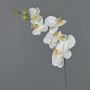 Dekozweig Phalaenopsis Orchidee LANUA, creme, 70cm, Ø8,5-12cm