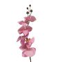 Dekozweig Phalaenopsis Orchidee LANUA, rosa, 70cm, Ø8,5-12cm