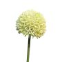 Künstliche Blume Allium BAILIN, creme-grün, 45cm, Ø6,5cm