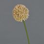 Künstliche Blume Allium BAILIN, rosa-creme, 45cm, Ø6,5cm