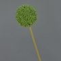 Künstliche Blume Allium BAILIN, grün, 65cm, Ø10cm